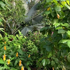 Meet your Posher, Paul